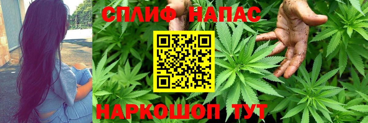 Конопля семена  Каннабис план  Каннабис план  Вход с VPN  Жигулёвск 